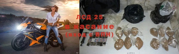 твердый Новозыбков