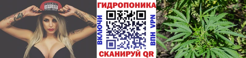 Марихуана VHQ  Андреаполь 